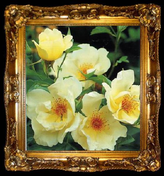 framed  unknow artist Still life floral, all kinds of reality flowers oil painting  140, ta009-2